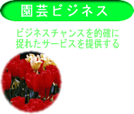 ���|�r�W�l�X